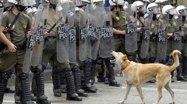 grecia alesii taxati in strada de alegatorii disperati