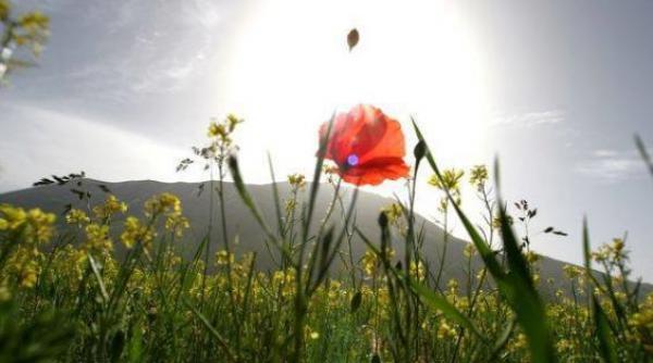 de marti vremea intra intr un nou proces de incalzire vezi prognoza pe trei zile