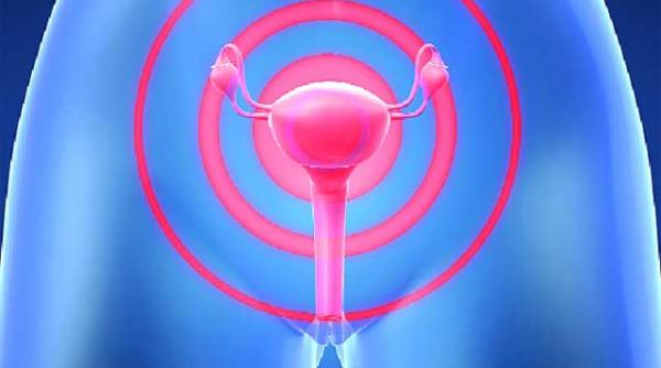 intrebari lasate la usa cabinetului de ginecologie