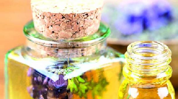 rozmarinul lavanda si stresul