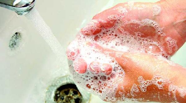 vacanta fara infectii