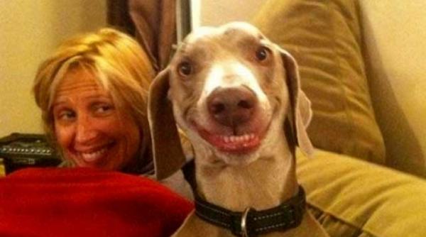 cel mai zambitor caine din lume