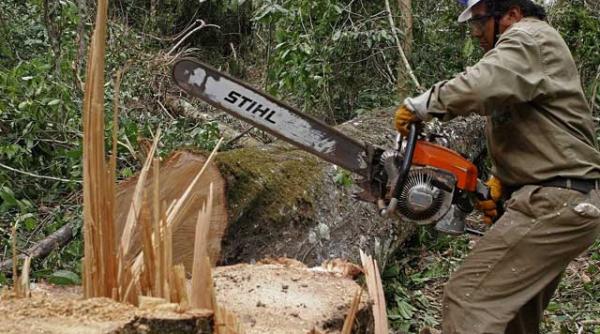 mituri climatice desfiintate de cercetatori