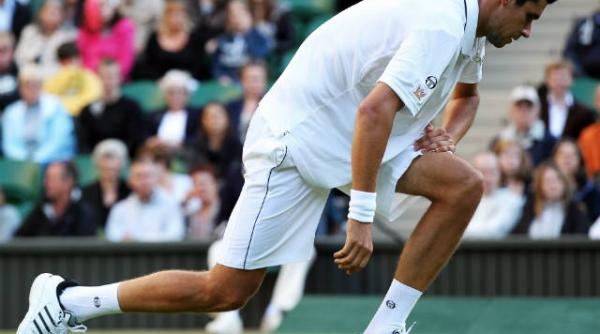 hanescu a fost eliminat de roddick in turul doi la wimbledon