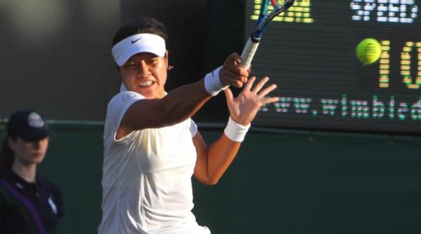 un fan al lui na li vrea sa scoata bani din domeniului lina cn