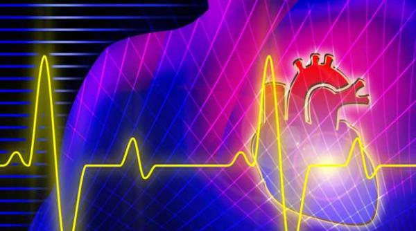 puls rar risc mic de boli cardiovasculare