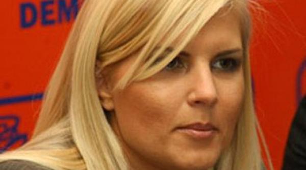 udrea daca nu exista suport politic pentru reorganizare o amanam