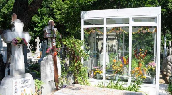 fitosii cu ceafa groasa si scarba de interlop fac legea in cimitire