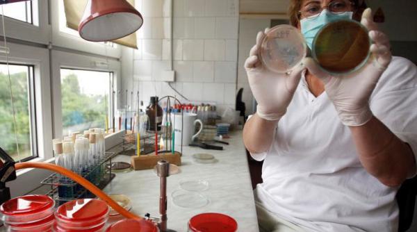 bilantul epidemiei de e coli a ajuns la 47 de morti