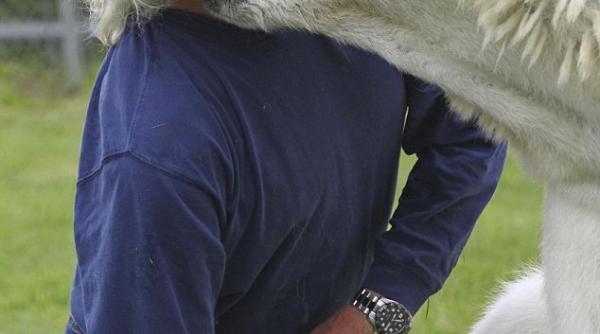 prietenie extrema intre un barbat si un urs polar vezi fotografii incredibile