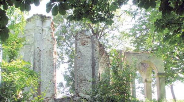 dispretul total halucinant incult