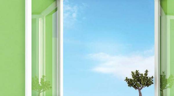 casa umeda friguroasa bolnava