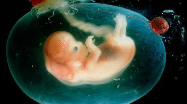 tombola embrionilor in marea britanie cumperi un bilet cu 20 de lire si poti castiga un copil