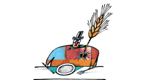 povestile verii povestile pamantului