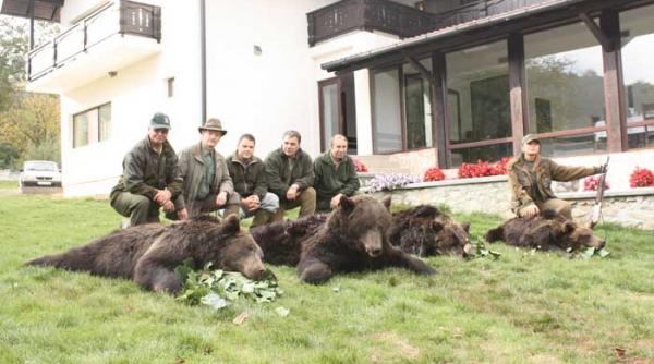 bogatasi straini ucigasi de ursi romanesti