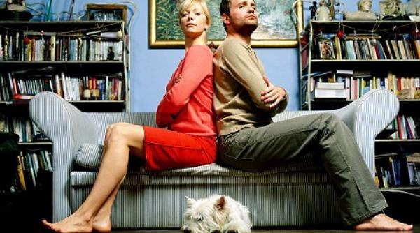 si catelul cui ramane ultima moda in divorturi disputa custodiei animalului de companie