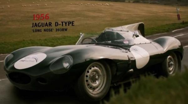 o felina pretentioasa