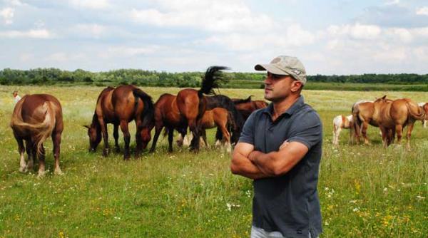 armeanul caii si euroii panacotati