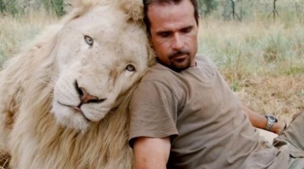 incredibil un zoolog african se imbratiseaza cu leii video