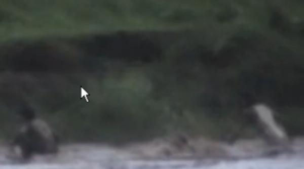 operatiune de salvare dramatica in india un copil de patru ani scos din apele involburate ale unui rau video