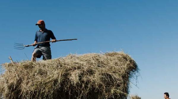 reversul medaliei pamant vandut strainilor degeaba