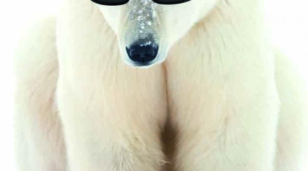 de ce e mai frig la polul sud decat la polul nord