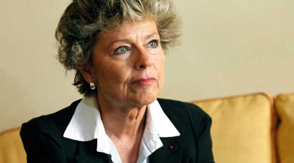 dsk un cimpanzeu in calduri