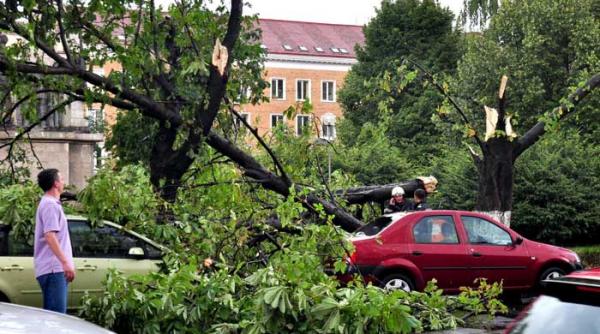 romania lovita de furtuni parca era sfarsitul lumii numai bucati de gheata si pasari moarte