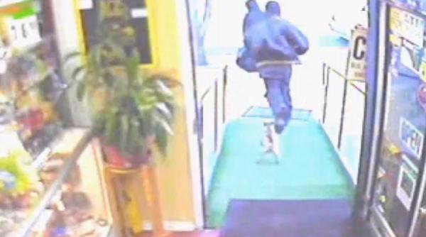 un chihuhua fioros pune pe fuga doi hoti video