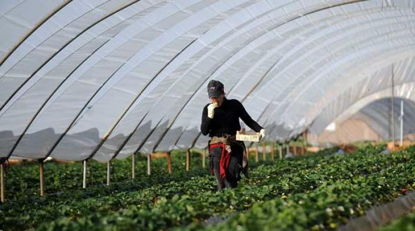 restrictiile din spania ar putea fi valabile de la 1 august