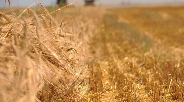 taxarea inversa reduce evaziunea fiscala