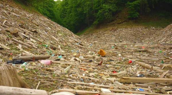 incestul national si madularul patriotic