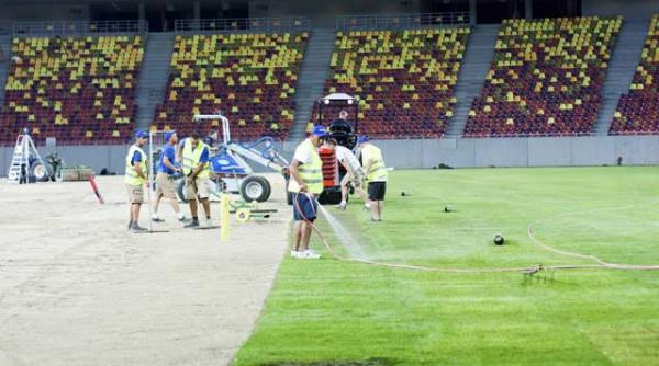 pumele au ridicat piciorul