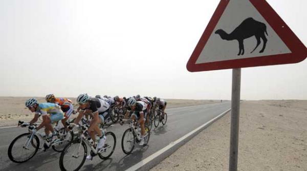 qatar gazda startului din 2014