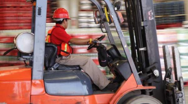 stagiile de practica pregatesc profesionisti