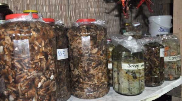 provocari de vara la ceaunu crapat