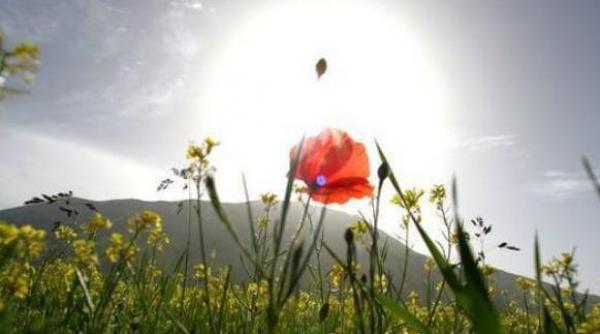 vreme frumoasa in weekend vezi prognoza meteo pentru urmatoarele zile