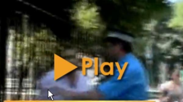 jurnalisti agresati de romi la timisoara video