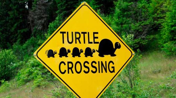 tuneluri pe autostrada pentru testoase