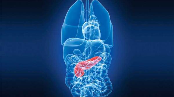 ficatul gras nu e o bagatela