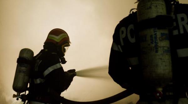 incendiul devastator din delta provocat de o tigara