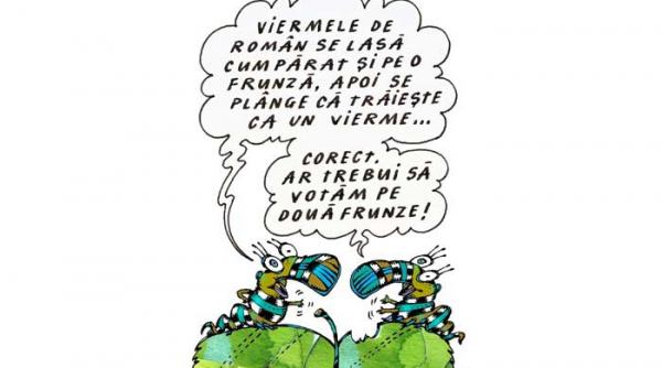 romania yacht contra romania ulei faina sare