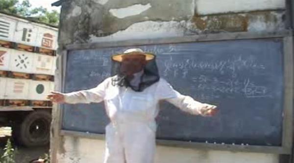 ioan ursu proful online de matematica