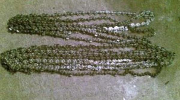 un barbat din gorj si a batut copilul cu lantul de la drujba