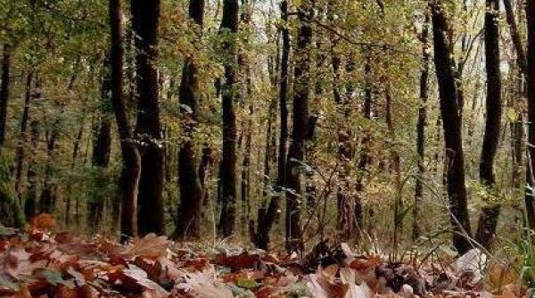 ploi in septembrie si octombrie frig in noiembrie vezi prognoza meteo pe urmatoarele trei luni