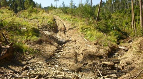 ceahlau cronica unui dezastru anuntat arie naturala strict protejata in pericol sa dispara
