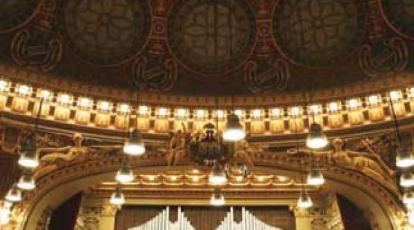 concert spectacol multimedia