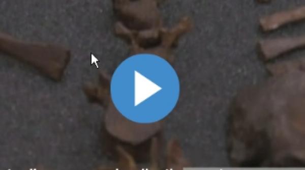 au fost descoperite fosile ale celei mai vechi specii din rasa umana australopithecus sediba video