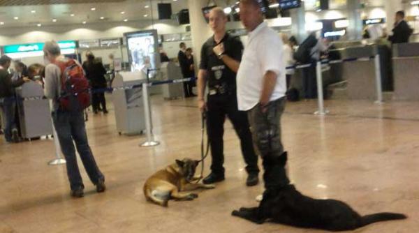 gilles de kerchove coordonator pentru contraterorism al uniunii europene uniunea europeana nu este principalul responsabil pentru securitatea statelor membre