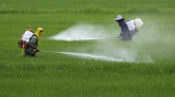 arma mortala biologica milioane de animale create sa si distruga speciile cum va disparea crapul european din australia